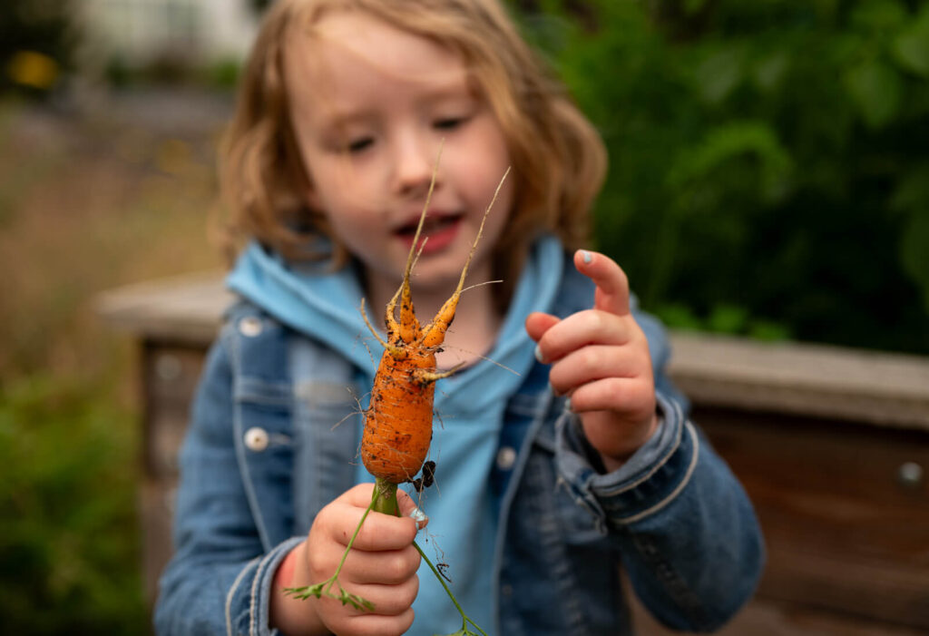 Familienfotos Zuhause Kitafotos in Herford: Ein Mädchen ist draußen mit einer Möhre.